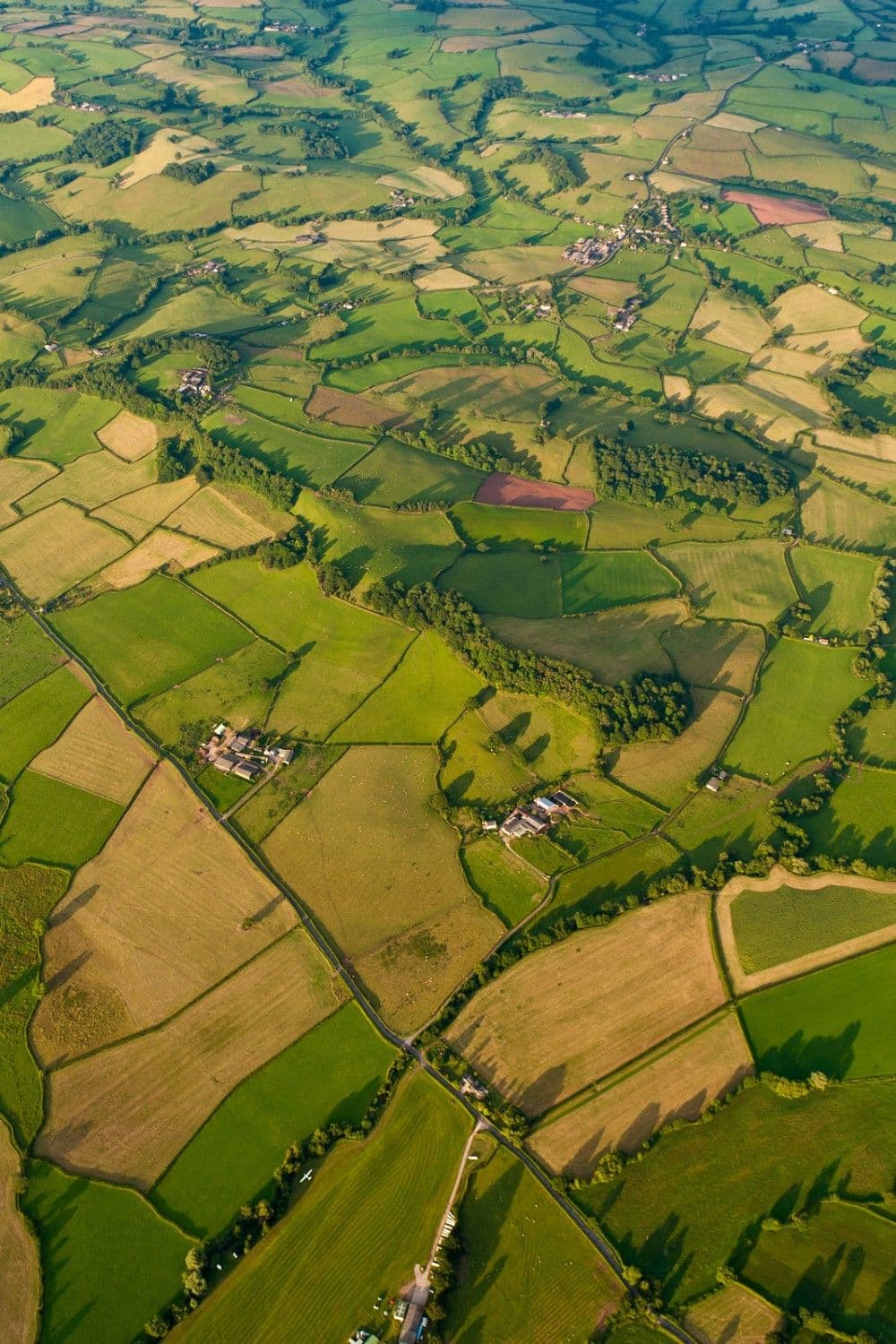 Agriculteur relevant l’état de sa parcelle sur tablette