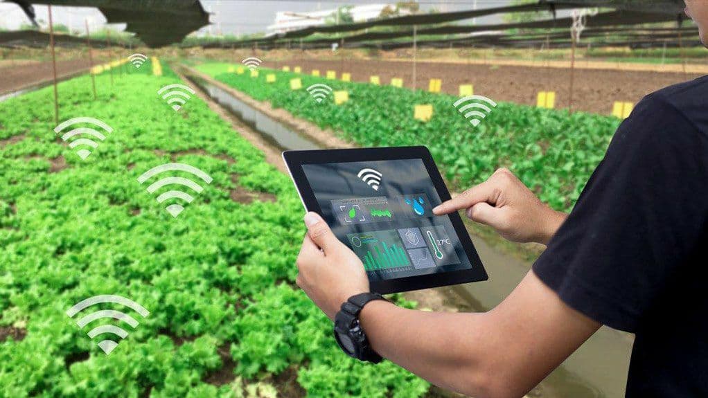 Parcelle agricole sous un ciel changeant